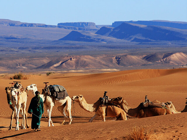 Generic placeholder image